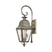 Amwell 2 Light 24-3/4" High Outdoor Wall Sconce