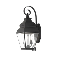 Exeter 2 Light 21-1/2" Tall Outdoor Wall Sconce with Clear Glass Shade