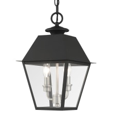 Wentworth 2 Light 9" Wide Commercial Mini Pendant