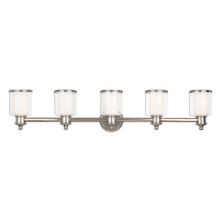 Middlebush 5 Light 46" Wide Vanity Light