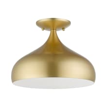 Amador 12" Wide Semi-Flush Ceiling Fixture