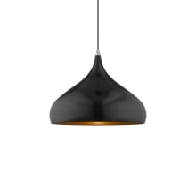 Single Light 16" Wide Pendant