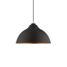 Single Light 16" Wide Pendant