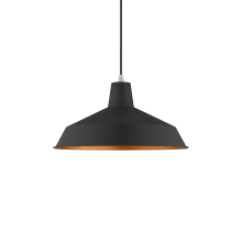 Single Light 16" Wide Pendant