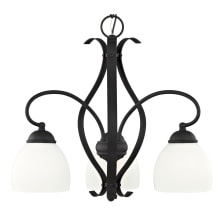 Brookside 17.25 Inch Tall Down Chandelier with 3 Lights