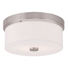 Meridian 2 Light Flush Mount Ceiling Fixture