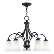 Ridgedale 17.75 Inch Tall Down Lighting 1 Tier Chandelier with 5 Lights