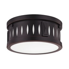 Vista 2 Light Flush Mount Ceiling Fixture