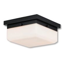 Allure 2 Light 8" Wide Single Semi-Flush Ceiling Fixture