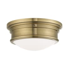 5.5 Inch Tall Flush Mount Ceiling Fixture with 2 Lights