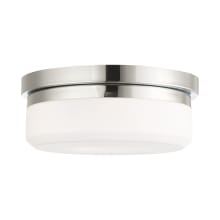 11 Inch Wide Flush Mount Ceiling Fixture / Wall Sconce with 2 Lights