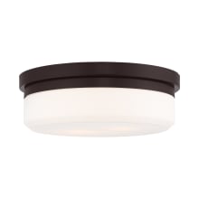 13 Inch Wide Flush Mount Ceiling Fixture / Wall Sconce with 2 Lights