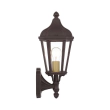 Morgan Single Light 14-1/4" Tall Outdoor Wall Sconce with Glass Panel Shades