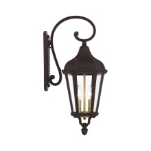 Morgan 2 Light 23-1/2" Tall Outdoor Wall Sconce with Glass Panel Shades