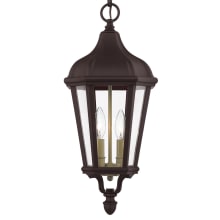 Morgan 2 Light 9" Wide Pendant with Glass Panel Shades