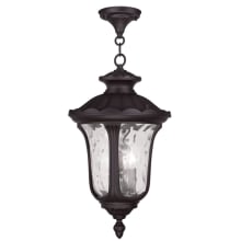 Oxford 3 Light 11" Wide Outdoor Pendant
