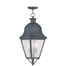 Amwell 3 Light 10-1/2" Wide Taper Candle Outdoor Pendant with Seedy Glass Shade