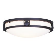 Ceiling Mounts 2 Light 13" Wide Flushmount Ceiling Fixture with Glass shade