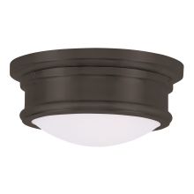 4.5 Inch Tall Flush Mount Ceiling Fixture with 2 Lights