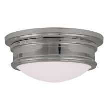 5.5 Inch Tall Flush Mount Ceiling Fixture with 2 Lights