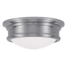 5.5 Inch Tall Flush Mount Ceiling Fixture with 2 Lights