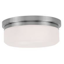 2 Light 8" Wide Flush Mount Ceiling Fixture / Wall Sconce