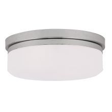 13 Inch Wide Flush Mount Ceiling Fixture / Wall Sconce with 2 Lights
