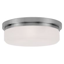 15.5 Inch Wide Flush Mount Ceiling Fixture / Wall Sconce with 3 Lights