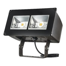 Night Falcon 2 Light 14" Tall LED Commercial Flood Light with Trunnion Mount
