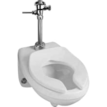 Erie Elongated Toilet Bowl Only - Less Seat