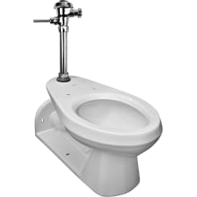 Elongated Toilet Bowl Only - Less Seat