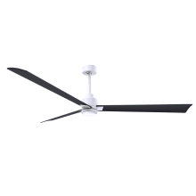 Alessandra 72" 3 Blade Indoor Ceiling Fan