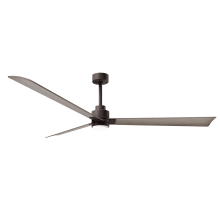 Alessandra 72" 3 Blade Indoor Ceiling Fan