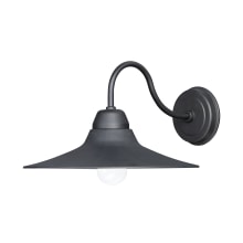 Dockside 9" Tall Outdoor Wall Sconce