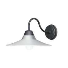 Dockside 9" Tall Outdoor Wall Sconce