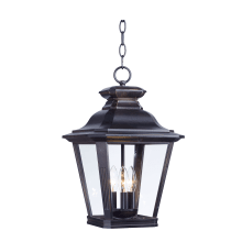 Knoxville 3 Light 11" Wide Outdoor Pendant with Clear Glass Shade