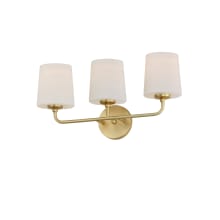 Bristol 3 Light 21" Wide Vanity Light with Frosted Glass Shades