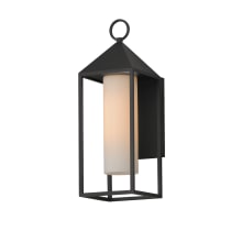 Aldous 21" Tall Outdoor Wall Sconce
