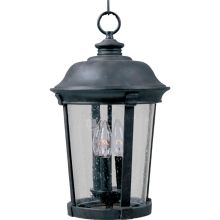 Dover 17" Tall 3 Light Outdoor Pendant with Clear Seedy Glass