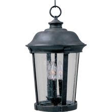 Dover 20" Tall 3 Light Outdoor Pendant with Clear Seedy Glass