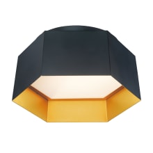 Honeycomb 16" Wide LED Ceiling Fixture