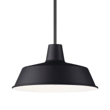 Pier M 14" Wide Pendant