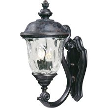 Carriage House Vivex 20" 2 Light Wall Sconce