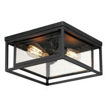 Cabana VX 2 Light 12" Wide Flush Mount Ceiling Fixture