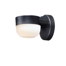 Michelle 5" Tall LED Outdoor Wall Sconce with Photocell