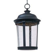 Dover 17" Tall LED Outdoor Pendant with Clear Seedy Glass