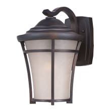 Balboa DC LED Single Light 17-1/4" Tall LED Outdoor Wall Sconce with Glass Lantern Shade