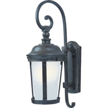 Dover 20" Tall LED Wall Sconce with Frosted Seedy Glass