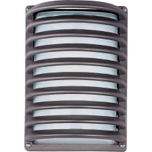 Zenith 12" Tall LED Outdoor Wall Sconce