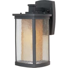 Bungalow Single Light 14" Tall LED Outdoor Wall Sconce